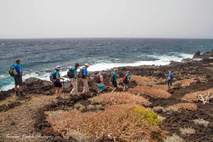 Piso Nuevo En El Puertito De Gueimar Al Lado Del Mar Realizamos Servicio De Excursiones Con Guia Puertito de Guimar Zewnętrze zdjęcie